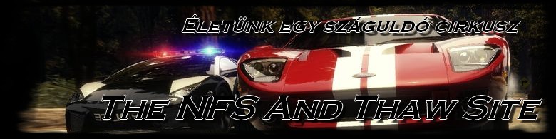 The NFS and THAW Site